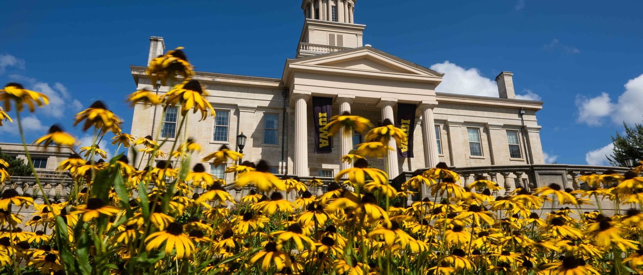 Old capitol with daisy flowers