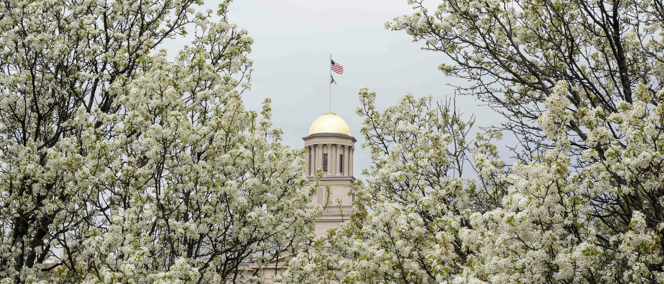 Old Capitol with white floral trees